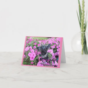 Sentez la carte Fleurs