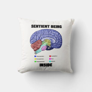 Sentient Being Inside Anatomical Brain Throw Pillow