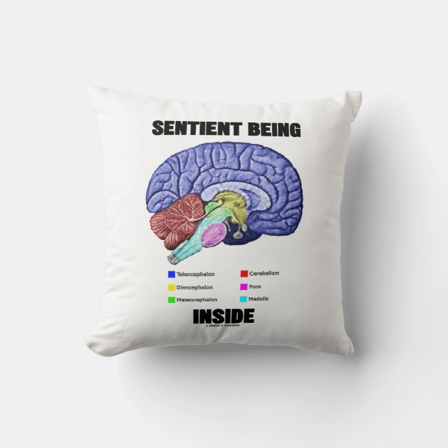 Sentient Being Inside Anatomical Brain Throw Pillow (Front)