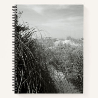 Sentier à travers les dunes | Journal rustique de 