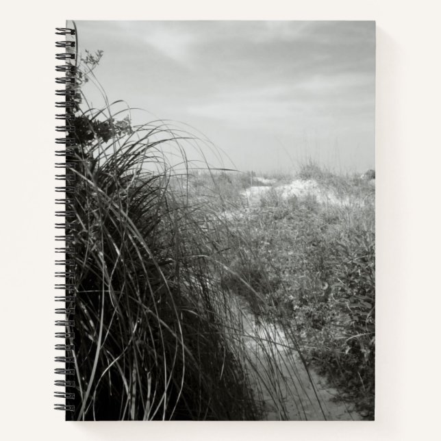 Sentier à travers les dunes | Journal rustique de  (Devant)