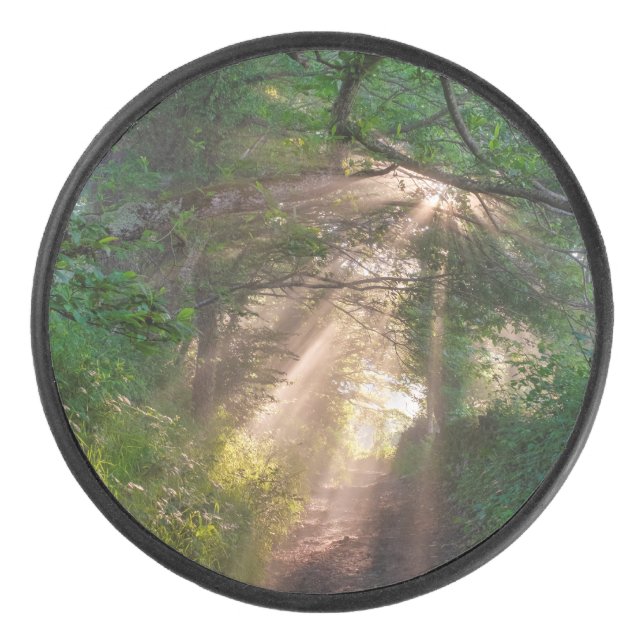 sentier forestier (Devant)