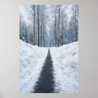 Sentier forestier hivernal brumeux Affiche de pays