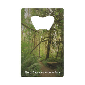 Sentier paisible de la forêt verte dans le Washing