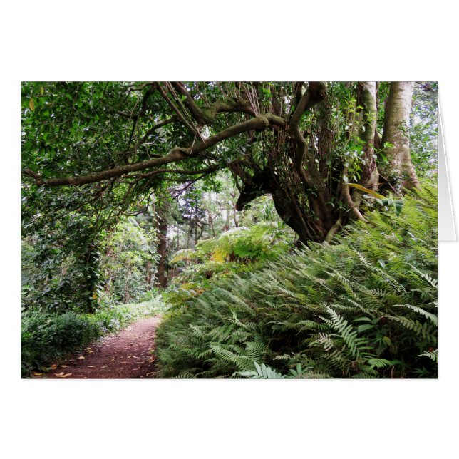 Sentier Randonnée hawaïen (Devant horizontal)