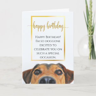 Sentimental Dog Funny Birthday Epic New Lovely Card