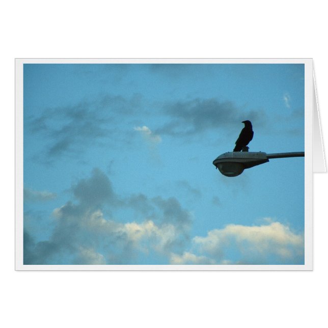 Sentinel (Devant horizontal)