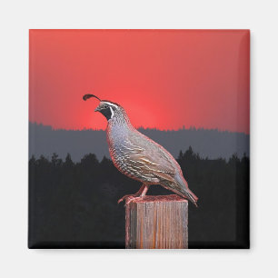 SENTINEL AT SUNSET MAGNET