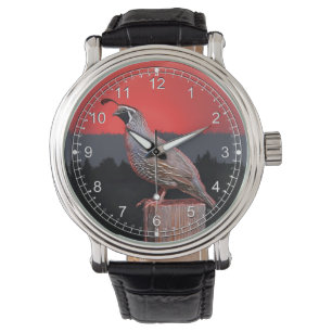 SENTINEL AT SUNSET WATCH