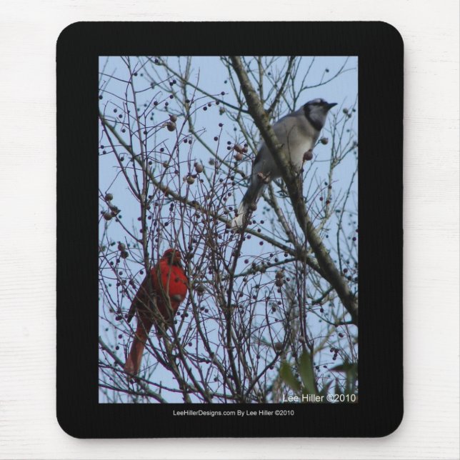 Sentinels Blue Jay and Cardinal by Lee Hiller Mouse Pad (Front)