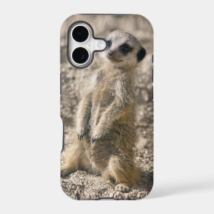 Sentry-in-Training iPhone 5 Case-Mate Case