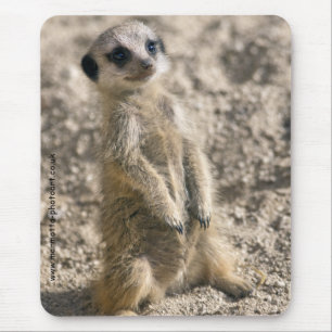 Sentry in Training Mousemat Mouse Pad