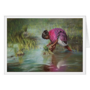 Séparation des paquets de riz