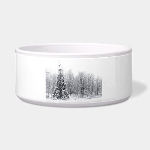 separation with certainty