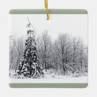 separation with certainty ceramic ornament