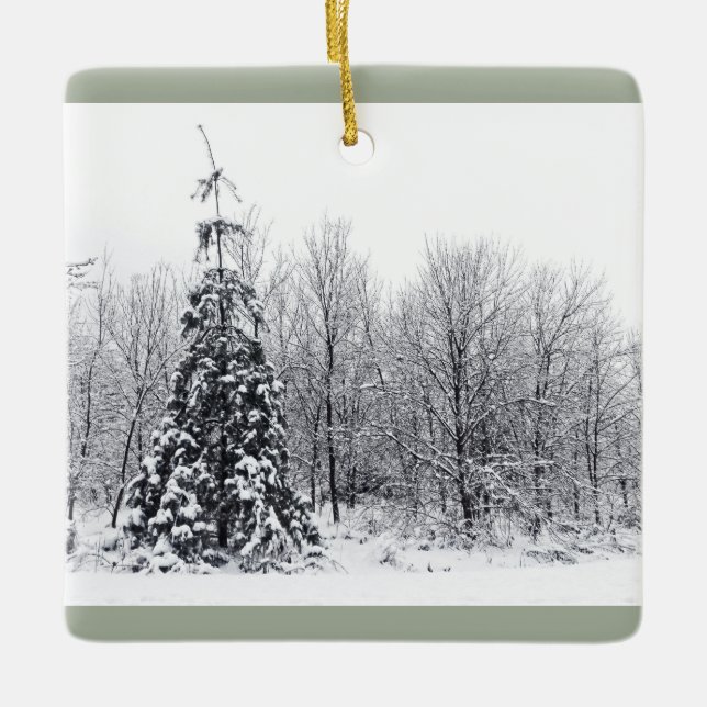 separation with certainty ceramic ornament (Front)