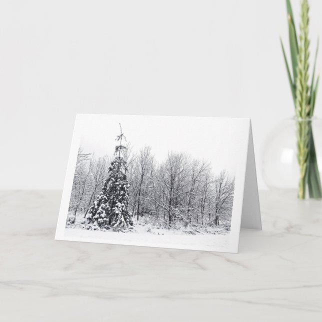 separation with certainty holiday card (Front)