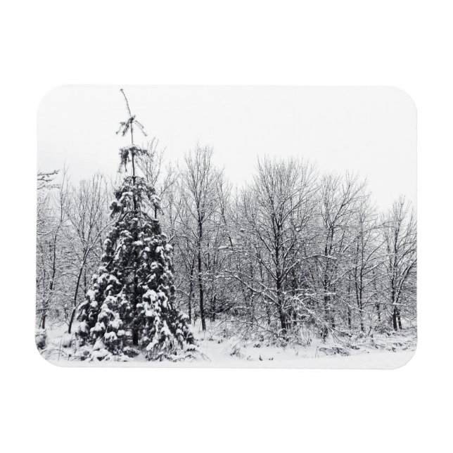 separation with certainty magnet (Horizontal)