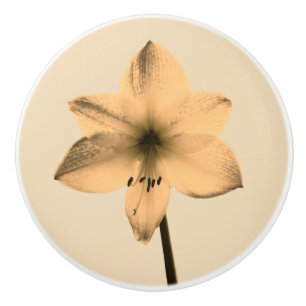 Sepia amaryllis ceramic knob