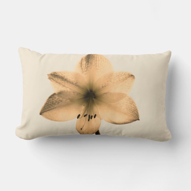 sepia amaryllis lumbar pillow (Front)