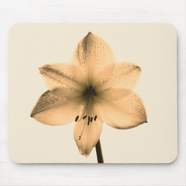 sepia amaryllis mouse pad (Front)