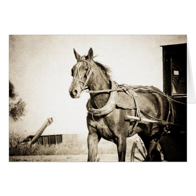 Sepia Amish Horse And Buggy (Front Horizontal)
