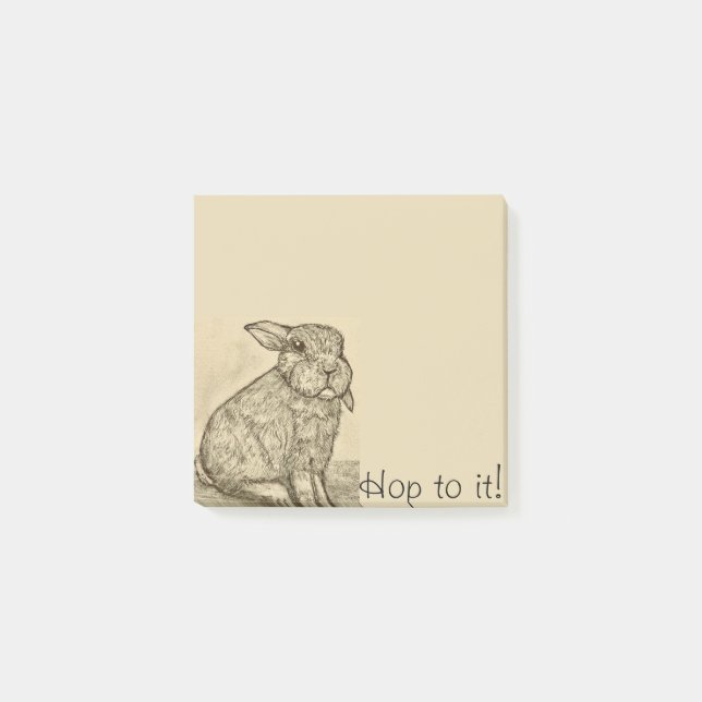 Sepia Antique Bunny Rabbit Notes (Front)