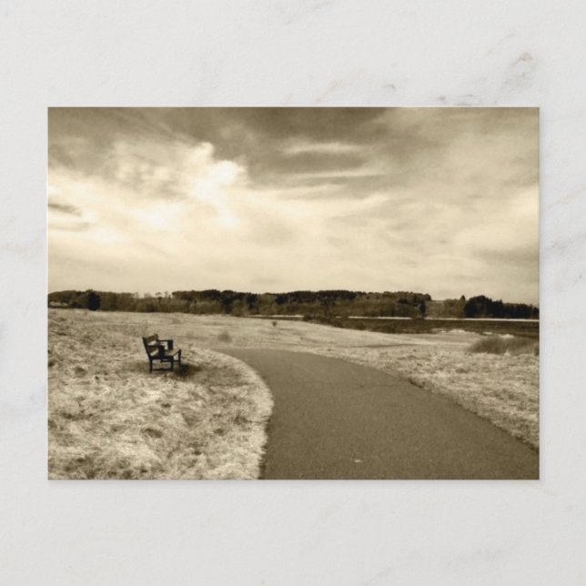 Sepia Bench Postcard (Front)