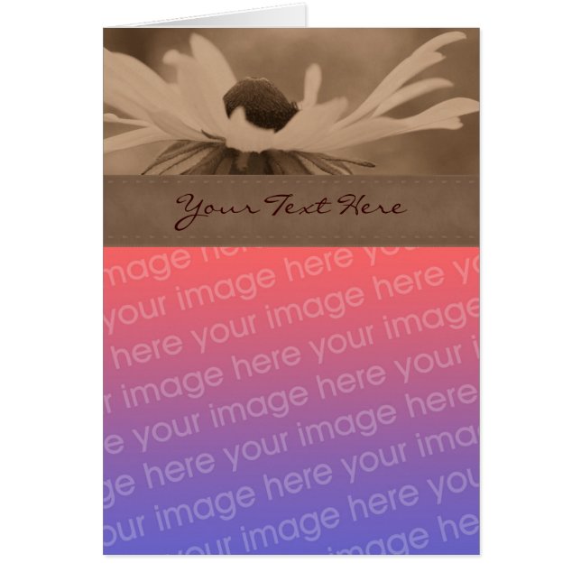 Sepia Black Eyed Susan Flower Carte photo (Devant)