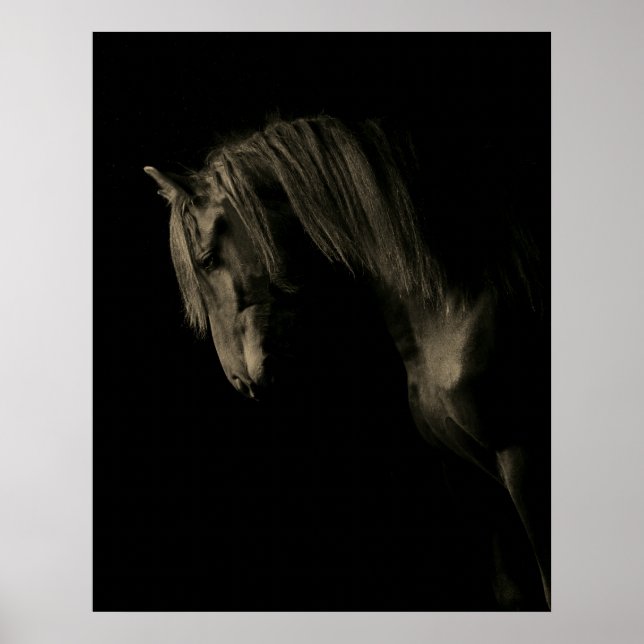 Sepia Black Horse Poster (Front)