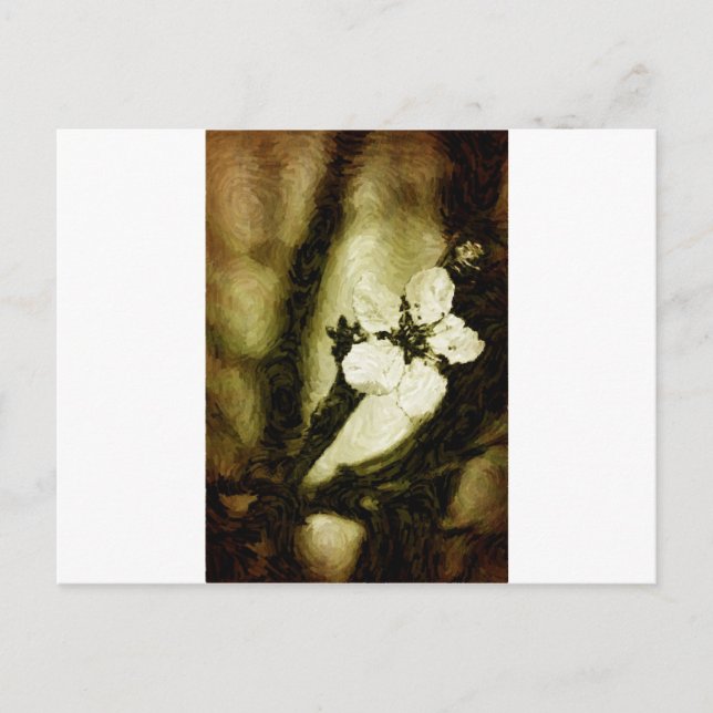 Sepia cherry blossom postcard (Front)