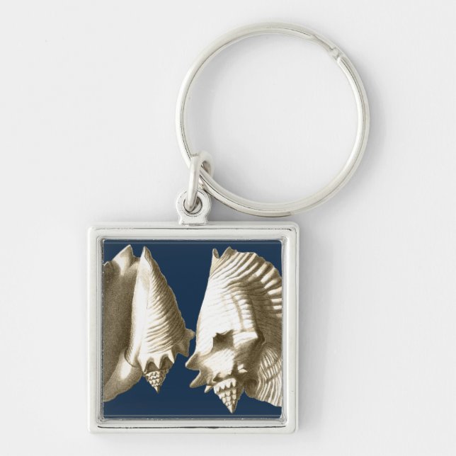 Sepia Conch Seashells Keychain (Front)