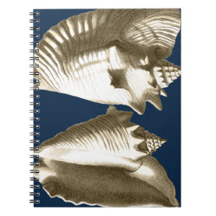 Sepia Conch Seashells Notebook