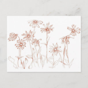 Sepia Daisies Pen and Ink Flower Drawing Postcard