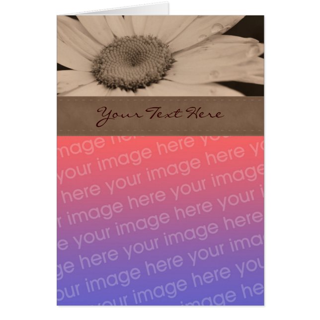 Sepia Daisy Flower Photo Card (Front)