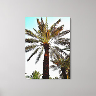 Sepia Date Tree Canvas Print