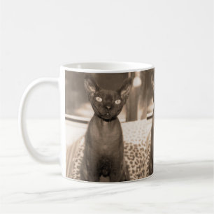 Sepia Devon Rex Cat mug. Coffee Mug