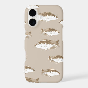 Sepia fish