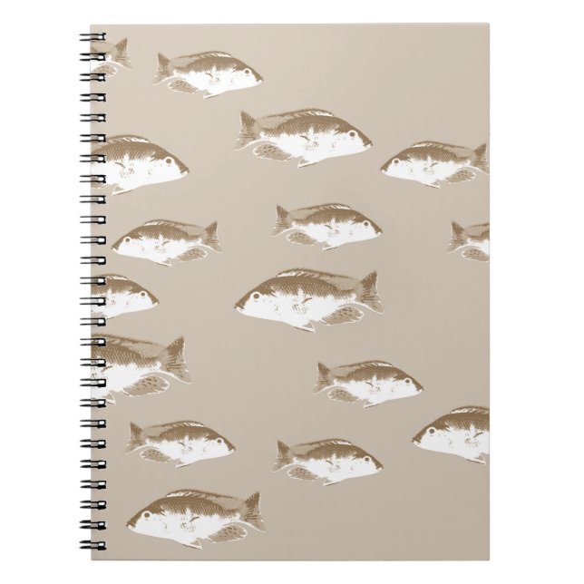 Sepia fish notebook (Front)
