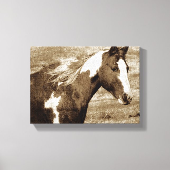 Sepia Flashy Mare Canvas Print (Front)