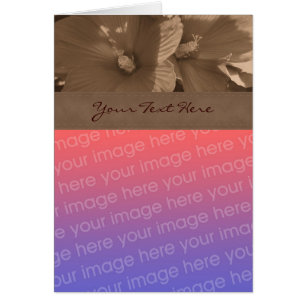 Sepia Hibiscus Flower Carte photo