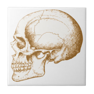 Sepia Human Skull Tile
