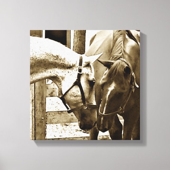 Sepia Image of Two Horses Up-Close Canvas Print (Front)