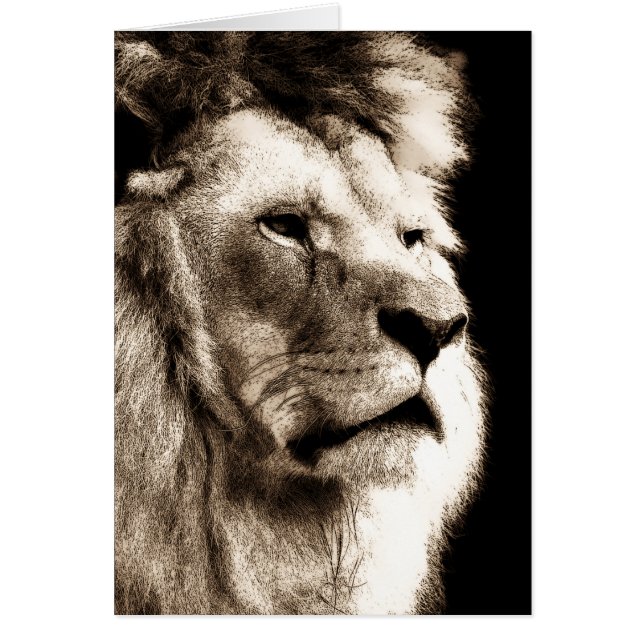 Sepia Lion (Devant)