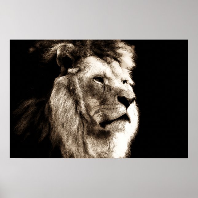 Sepia Lion Poster (Front)
