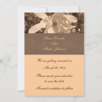 Sepia Magnolia Flower Wedding Save The Date