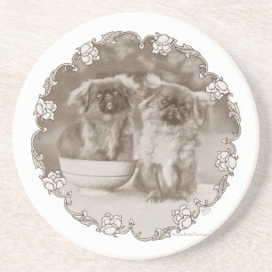 Sepia Pekingese Portrait Coaster