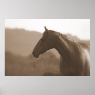 Sepia Silhouette Large Basic Poster