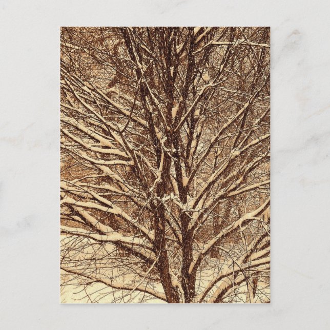 Sepia Snow Postcard (Front)