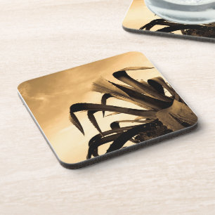 Sepia Spanish Aloe Plant Photograph  Coaster